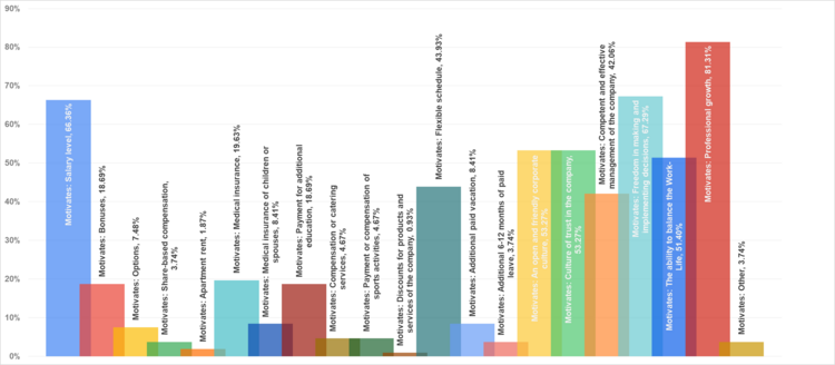 Figure 16. Product Owner and Product Manager motivation factors.